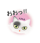 色々な猫2-3 長毛-立ち耳-白に黒ぶち（個別スタンプ：10）