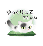 色々な猫2-3 長毛-立ち耳-白に黒ぶち（個別スタンプ：12）