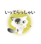 色々な猫2-3 長毛-立ち耳-白に黒ぶち（個別スタンプ：15）