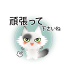 色々な猫2-3 長毛-立ち耳-白に黒ぶち（個別スタンプ：16）