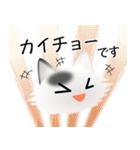 色々な猫2-3 長毛-立ち耳-白に黒ぶち（個別スタンプ：17）