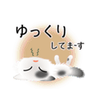 色々な猫2-3 長毛-立ち耳-白に黒ぶち（個別スタンプ：18）