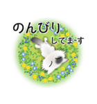 色々な猫2-3 長毛-立ち耳-白に黒ぶち（個別スタンプ：19）