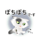 色々な猫2-3 長毛-立ち耳-白に黒ぶち（個別スタンプ：20）