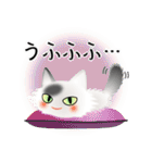色々な猫2-3 長毛-立ち耳-白に黒ぶち（個別スタンプ：25）