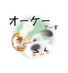 色々な猫2-3 長毛-立ち耳-白に黒ぶち（個別スタンプ：28）