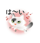 色々な猫2-3 長毛-立ち耳-白に黒ぶち（個別スタンプ：29）