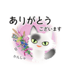 色々な猫2-3 長毛-立ち耳-白に黒ぶち（個別スタンプ：31）
