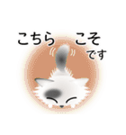 色々な猫2-3 長毛-立ち耳-白に黒ぶち（個別スタンプ：32）
