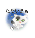 色々な猫2-3 長毛-立ち耳-白に黒ぶち（個別スタンプ：38）