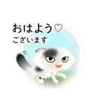 色々な猫2-4 長毛-垂れ耳-白に黒ぶち（個別スタンプ：1）