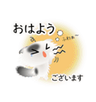 色々な猫2-4 長毛-垂れ耳-白に黒ぶち（個別スタンプ：2）