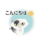 色々な猫2-4 長毛-垂れ耳-白に黒ぶち（個別スタンプ：5）