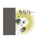 色々な猫2-4 長毛-垂れ耳-白に黒ぶち（個別スタンプ：6）