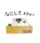 色々な猫2-4 長毛-垂れ耳-白に黒ぶち（個別スタンプ：8）