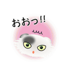 色々な猫2-4 長毛-垂れ耳-白に黒ぶち（個別スタンプ：10）