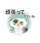 色々な猫2-4 長毛-垂れ耳-白に黒ぶち（個別スタンプ：16）