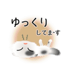 色々な猫2-4 長毛-垂れ耳-白に黒ぶち（個別スタンプ：18）