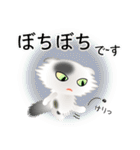 色々な猫2-4 長毛-垂れ耳-白に黒ぶち（個別スタンプ：20）