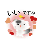 色々な猫2-4 長毛-垂れ耳-白に黒ぶち（個別スタンプ：24）