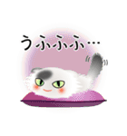 色々な猫2-4 長毛-垂れ耳-白に黒ぶち（個別スタンプ：25）