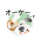 色々な猫2-4 長毛-垂れ耳-白に黒ぶち（個別スタンプ：28）