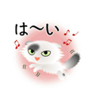 色々な猫2-4 長毛-垂れ耳-白に黒ぶち（個別スタンプ：29）