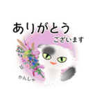 色々な猫2-4 長毛-垂れ耳-白に黒ぶち（個別スタンプ：31）