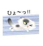 色々な猫2-4 長毛-垂れ耳-白に黒ぶち（個別スタンプ：34）