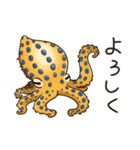 タコたちのまいにち（個別スタンプ：1）