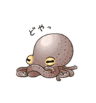 タコたちのまいにち（個別スタンプ：2）