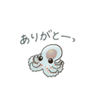 タコたちのまいにち（個別スタンプ：3）