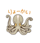 タコたちのまいにち（個別スタンプ：9）