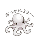 タコたちのまいにち（個別スタンプ：21）