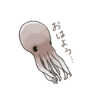 タコたちのまいにち（個別スタンプ：22）