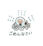タコたちのまいにち（個別スタンプ：23）