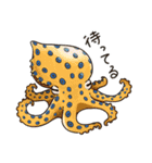タコたちのまいにち（個別スタンプ：28）