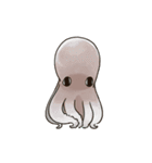 タコたちのまいにち（個別スタンプ：36）