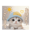 スコティッシュ猫 水色帽 優しい日常 敬語（個別スタンプ：1）