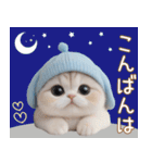 スコティッシュ猫 水色帽 優しい日常 敬語（個別スタンプ：3）