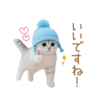 スコティッシュ猫 水色帽 優しい日常 敬語（個別スタンプ：4）