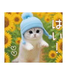 スコティッシュ猫 水色帽 優しい日常 敬語（個別スタンプ：5）
