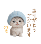 スコティッシュ猫 水色帽 優しい日常 敬語（個別スタンプ：6）