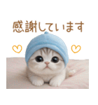 スコティッシュ猫 水色帽 優しい日常 敬語（個別スタンプ：7）