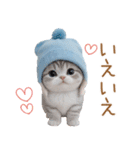 スコティッシュ猫 水色帽 優しい日常 敬語（個別スタンプ：8）