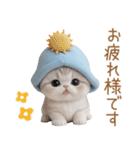 スコティッシュ猫 水色帽 優しい日常 敬語（個別スタンプ：11）