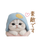 スコティッシュ猫 水色帽 優しい日常 敬語（個別スタンプ：12）