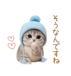 スコティッシュ猫 水色帽 優しい日常 敬語（個別スタンプ：14）