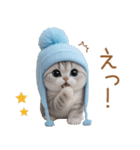 スコティッシュ猫 水色帽 優しい日常 敬語（個別スタンプ：15）