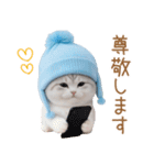 スコティッシュ猫 水色帽 優しい日常 敬語（個別スタンプ：16）